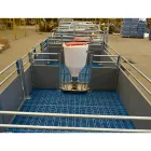 New Product Pig Farming Equipment Pig Automatic Feeder Automatic Pig Feeder - Feeder - foodmachtech